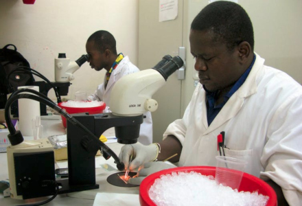 Personal de laboratorio en Burkina Faso