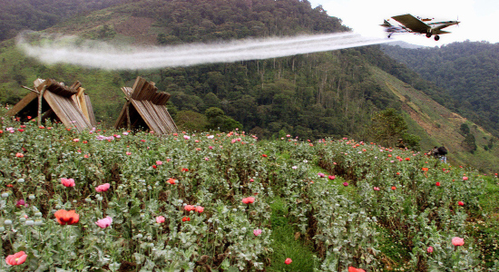 Un avión Turbo Thrush T-65 fumiga una plantación de amapola con glifosato líquido en San Vicente del Caguán, en el Caquetá