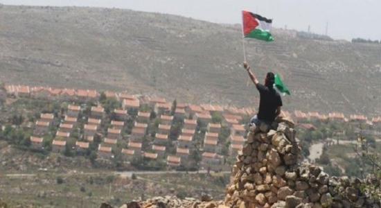 Palestino ondea bandera frente a asentamientos 