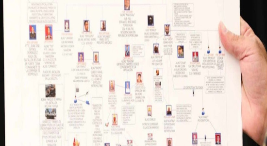Organigrama