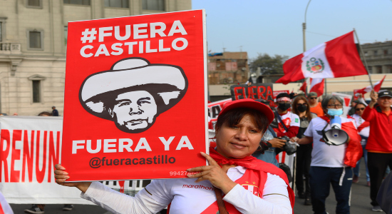 Manifestante a favor de Pedro Castillo