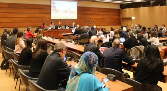Reunión de expertos en DDHH de Naciones Unidas